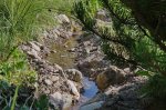 compIMG_3436.jpg