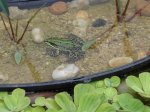 DSC04687k.JPG