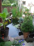 DSC03224.jpg
