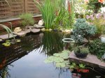 DSC03226.jpg