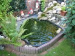 IMG_0216.JPG