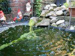 IMG_0218.JPG