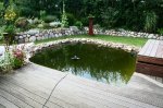 IMG_1483.jpg