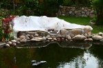 IMG_1485.jpg