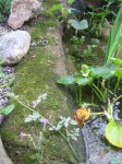 IMG_1131.JPG