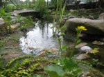 IMG_1129.JPG