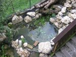 IMG_1126.JPG