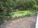 Teich Ansicht.jpg
