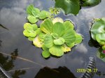 Bild 045 (Medium).jpg