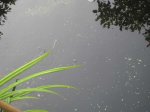 wasser.jpg