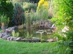 Gartenteich.jpg