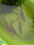 DSC03497.JPG
