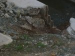 IMG_0079.jpg