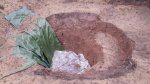 garten 2009 012.jpg