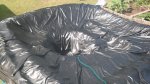 garten 2009 015.jpg