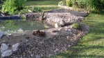garten 2009 022.jpg