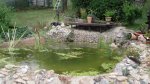 garten 2009 003.jpg