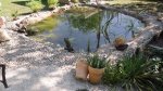 garten 2009 014.jpg