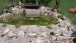 SDC10804.jpg