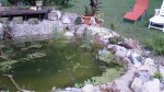 SDC10847.jpg