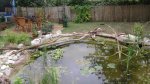 garten 2009 008.jpg