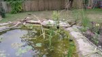 garten 2009 007.jpg