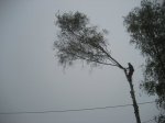 IMG_0767.JPG