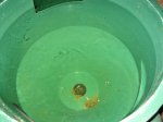 IMG_3158.JPG IMG_3158.JPG
