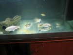 IMG_3203.JPG IMG_3203.JPG