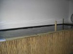 img2462im8.jpg img2462im8.jpg