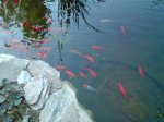 DSC02451.jpg DSC02451.jpg
