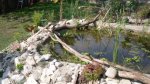 SDC11040.jpg