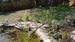 SDC11043.JPG