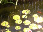 PIC02034.JPG