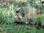 IMG_1491.JPG