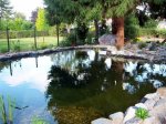 Teich 1.jpg (Small).jpg