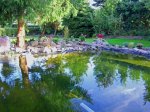 Teich 2.jpg (Small).jpg