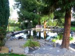 Teich 3.jpg (Small).jpg