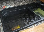 Wasserstand1.jpg
