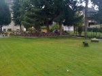 I POD PICS 170 (Small).jpg