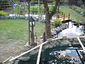 user17141_pic7659_1259306297_thumb.jpg