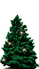 Weih00034.gif