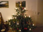 Weihnachtsbaum 2009.JPG