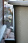 IQ3M6728_26-12-09_Mini-aufgefroren.JPG