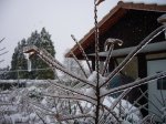 Untitled winter.jpg