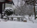 Untitled winter 2.jpg