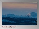 Storhovda-und-Nipnatten.jpg