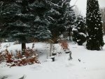 schnee.jpg
