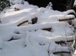 Winterimperssionen 2010.JPG