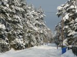 Winterimpressionen 2010 3.JPG